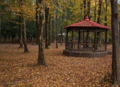 کوتاه شدن دست سودجویان از پارک جنگلی قرچک