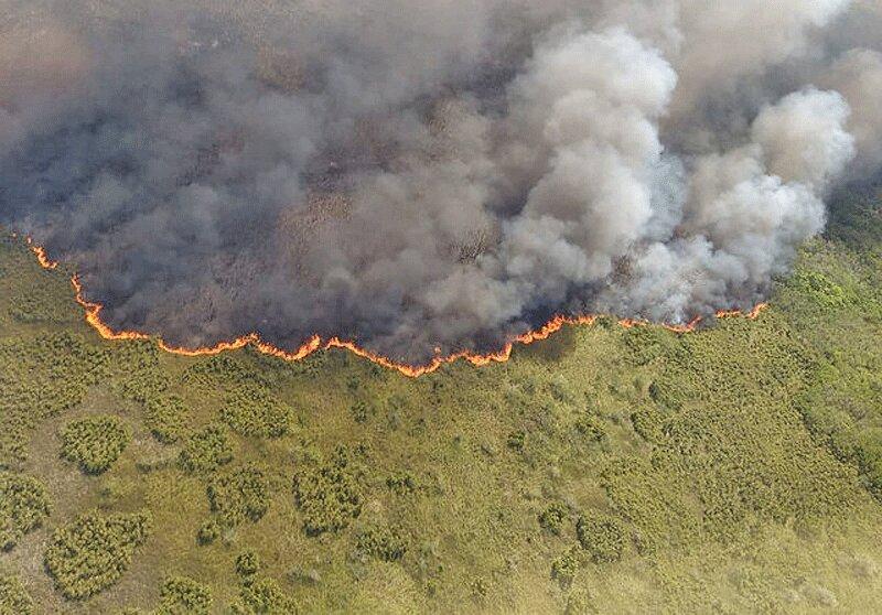 آتش سوزی در منطقه حفاظت شده مکزیک