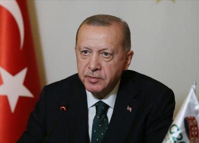 خبرنگاران اردوغان: امسال علاوه بر کرونا با ویروس اسلام هراسی نیز روبه رو شدیم