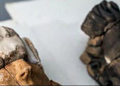 مجسمه های سنگی 2600 ساله یک تمدن باستانی گمشده در اسپانیا کشف شد