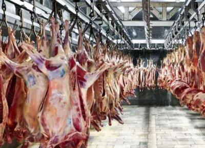 توضیحات اتحادیه گوشت گوسفندی برای تشخیص انواع گوشت قرمز ، چند توصیه به مردم